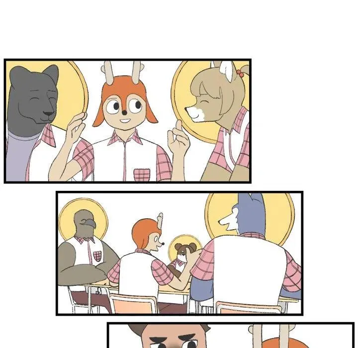 14 第29页