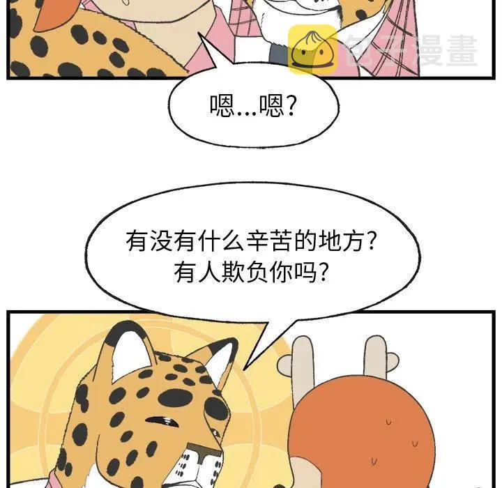 14 第41页