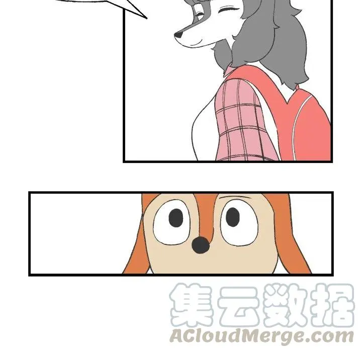 14 第46页