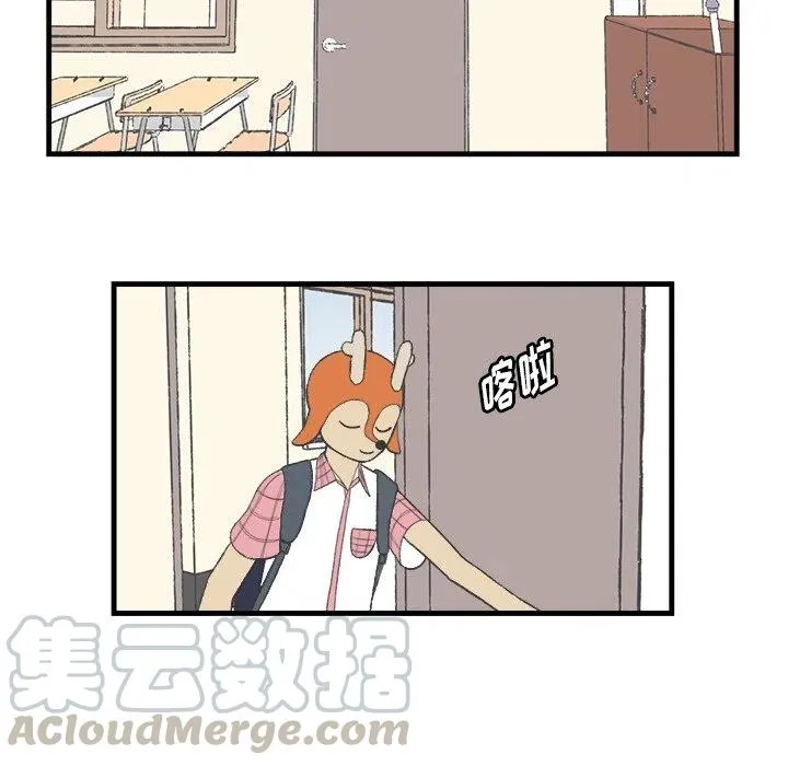 15 第10页