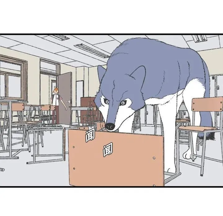 15 第11页