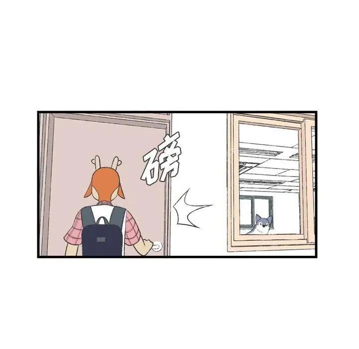 15 第12页
