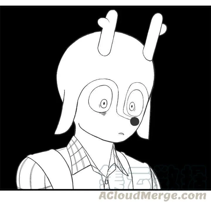 15 第13页
