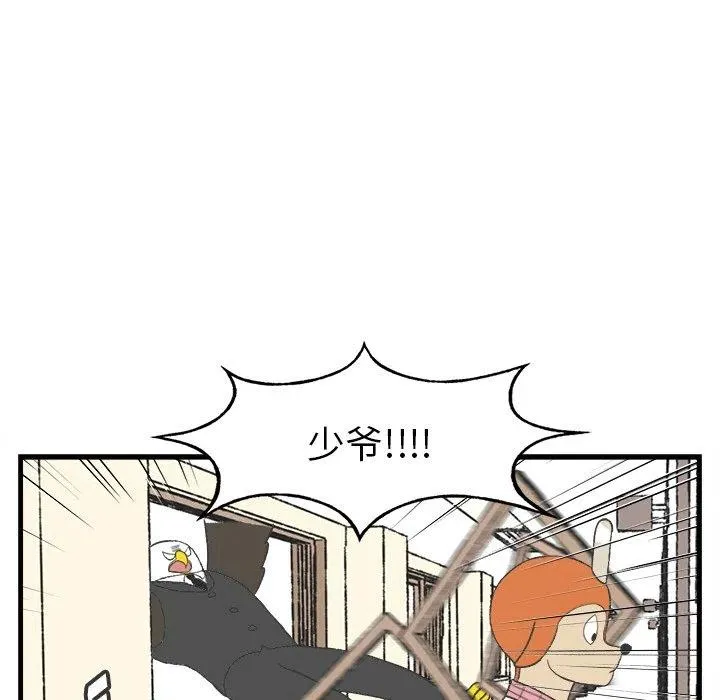 15 第17页