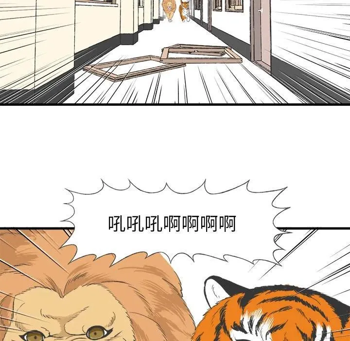 15 第21页