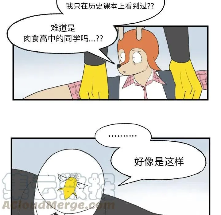 15 第25页