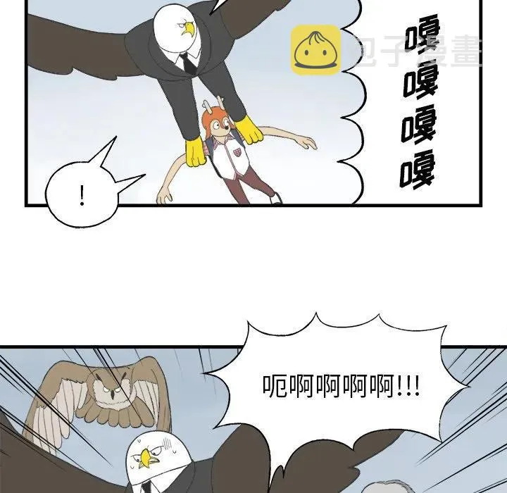15 第29页