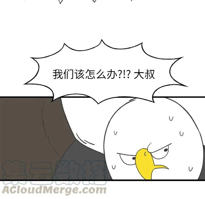 15 第31页