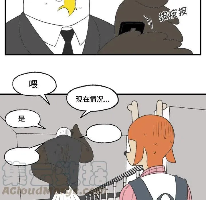 15 第43页