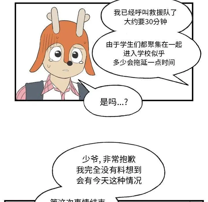 15 第45页