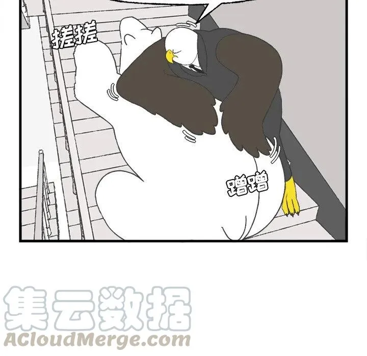 15 第64页