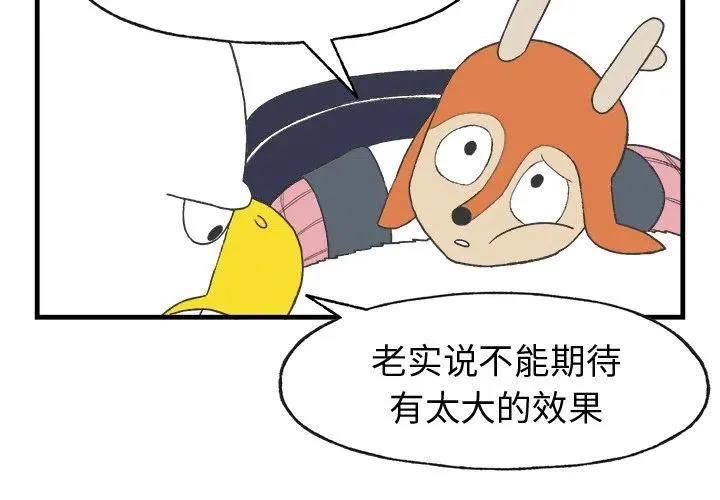 16 第3页
