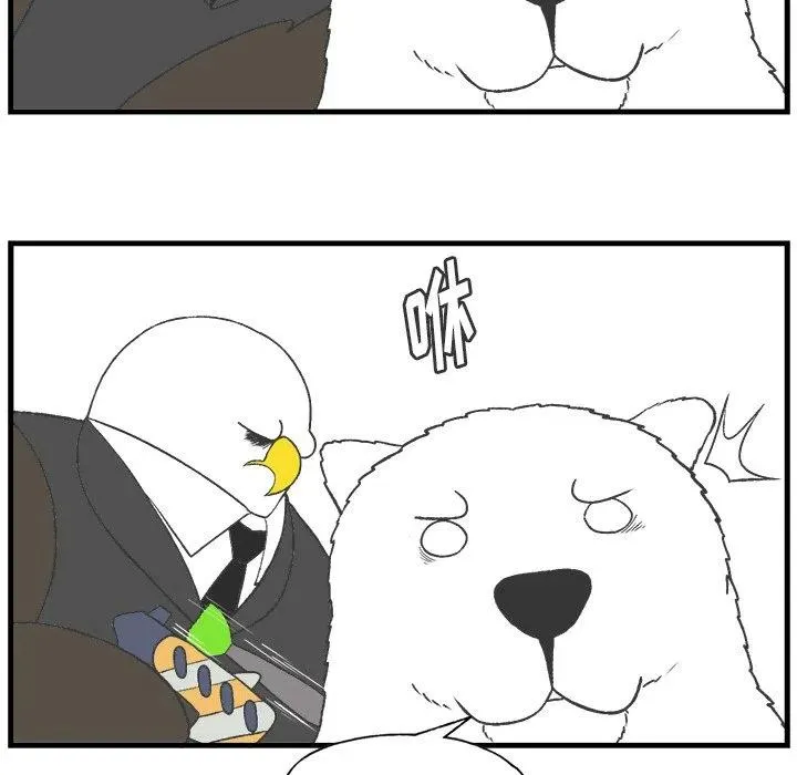 16 第5页