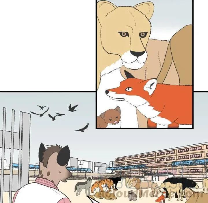 16 第10页