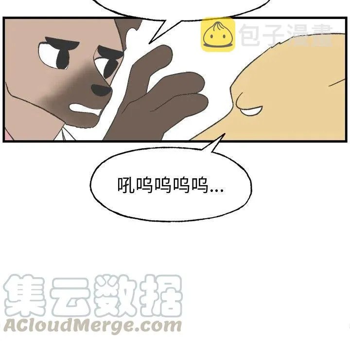 16 第13页