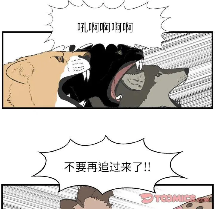 16 第21页