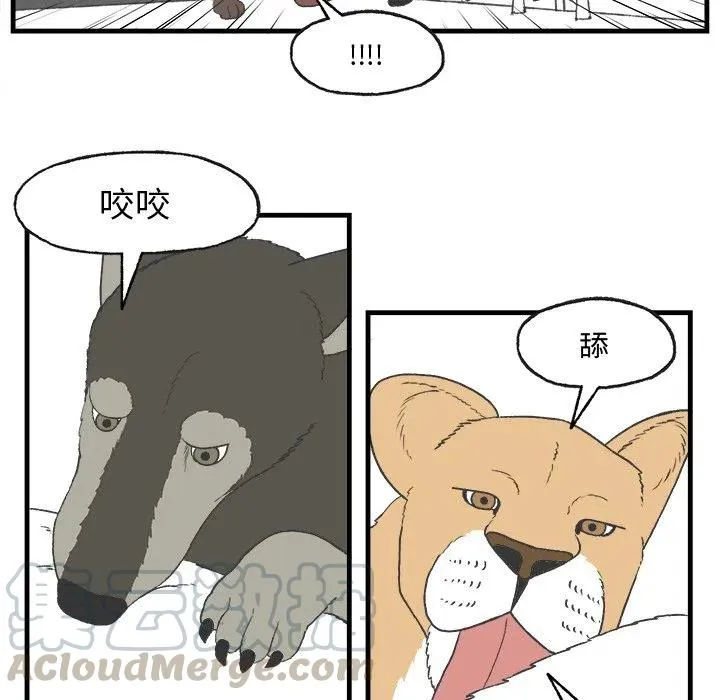 16 第28页