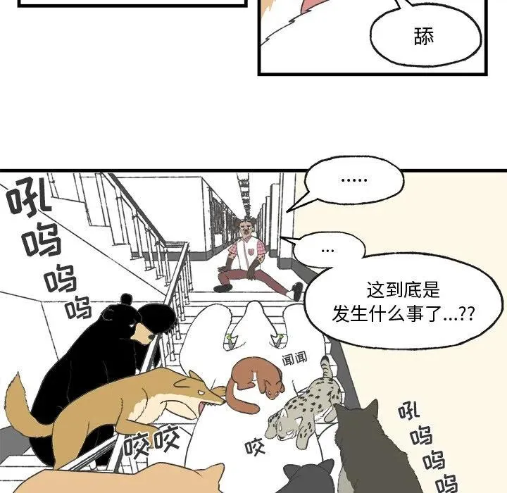 16 第29页