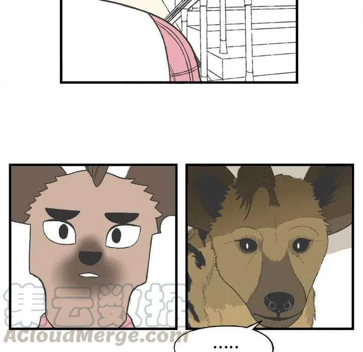 16 第31页