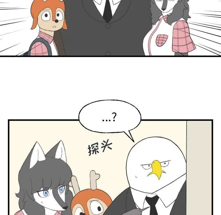 16 第44页