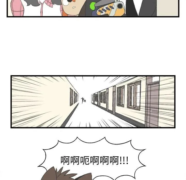 16 第45页