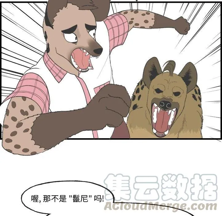16 第46页