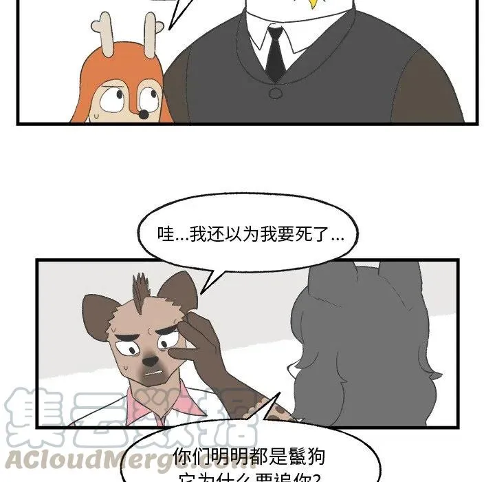 16 第55页