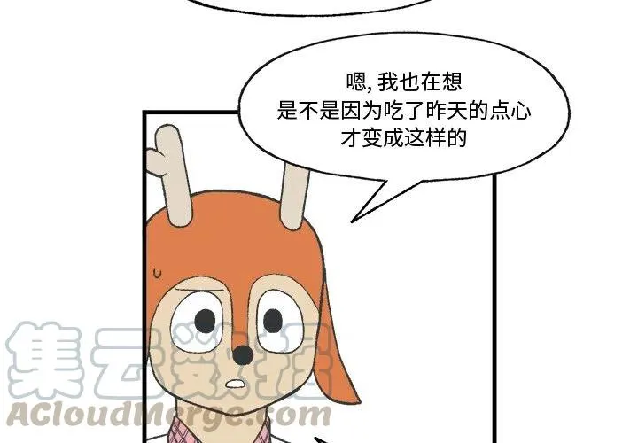 17 第4页