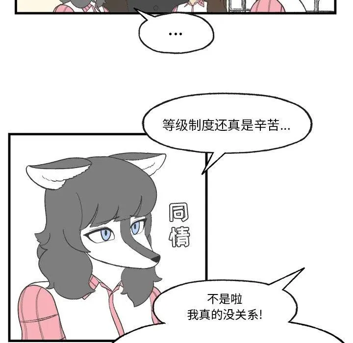 17 第11页