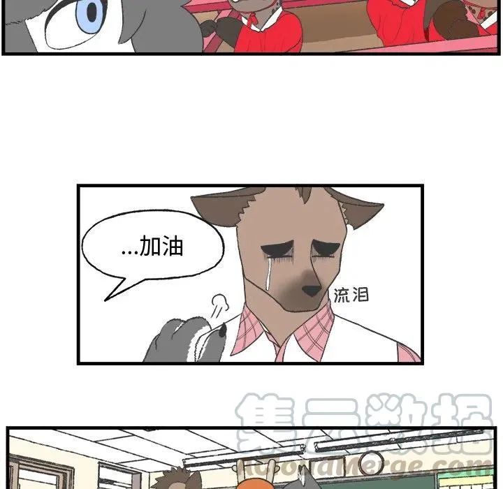 17 第13页