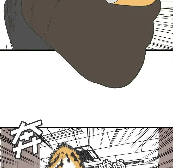 17 第23页