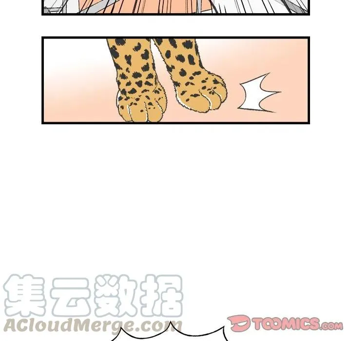 17 第28页