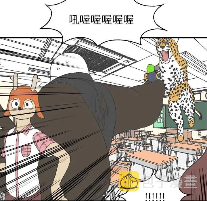 17 第29页