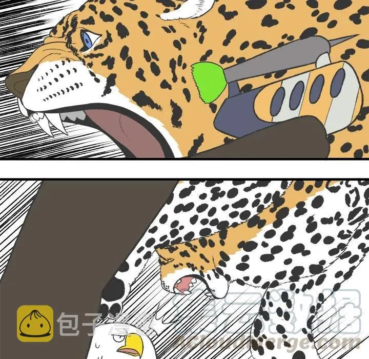 17 第31页