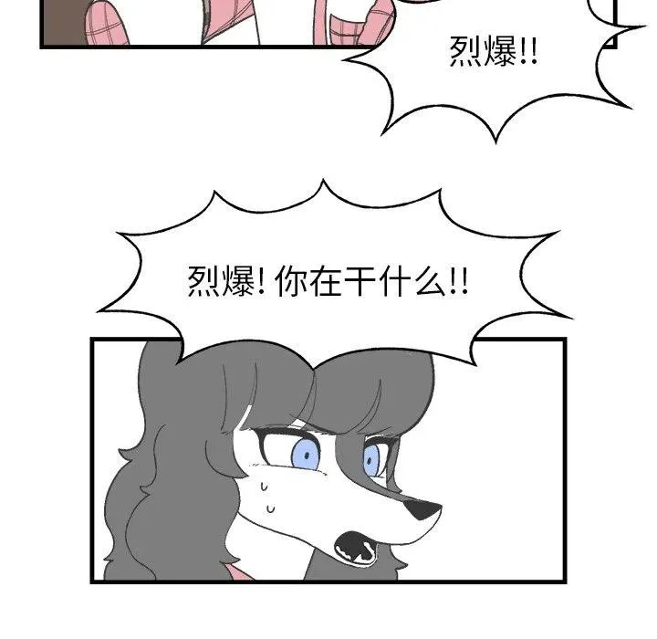 17 第33页