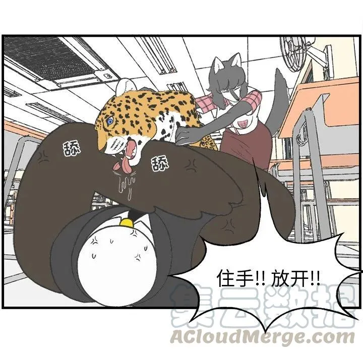 17 第34页