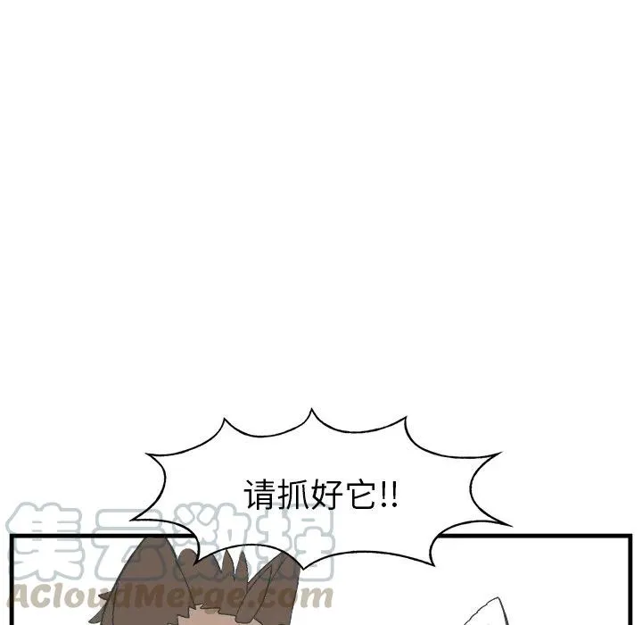 17 第37页
