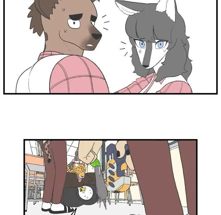 17 第38页