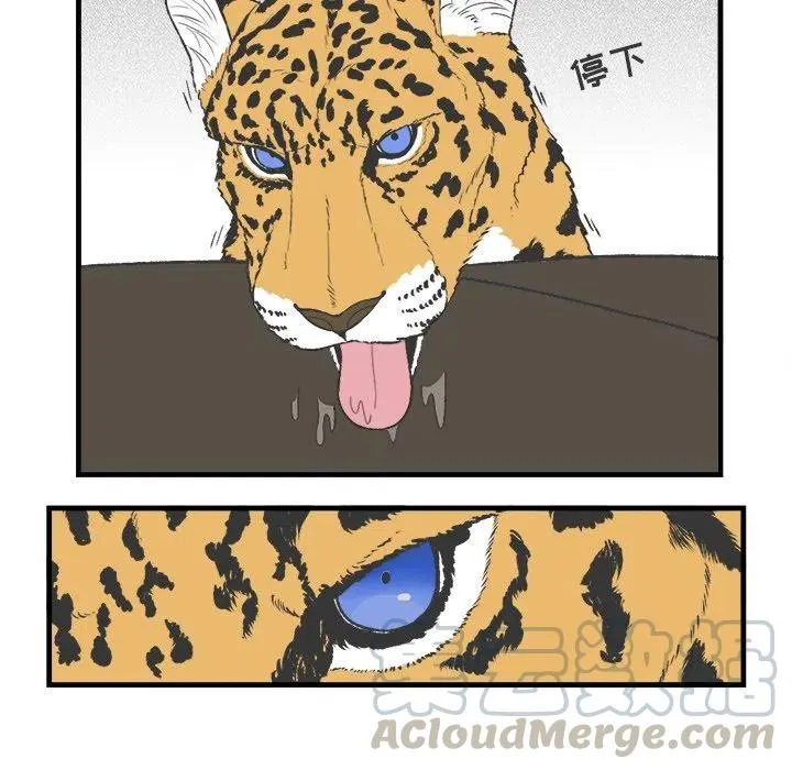 17 第40页