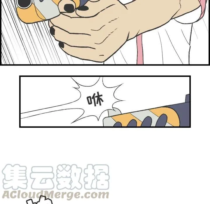 17 第43页