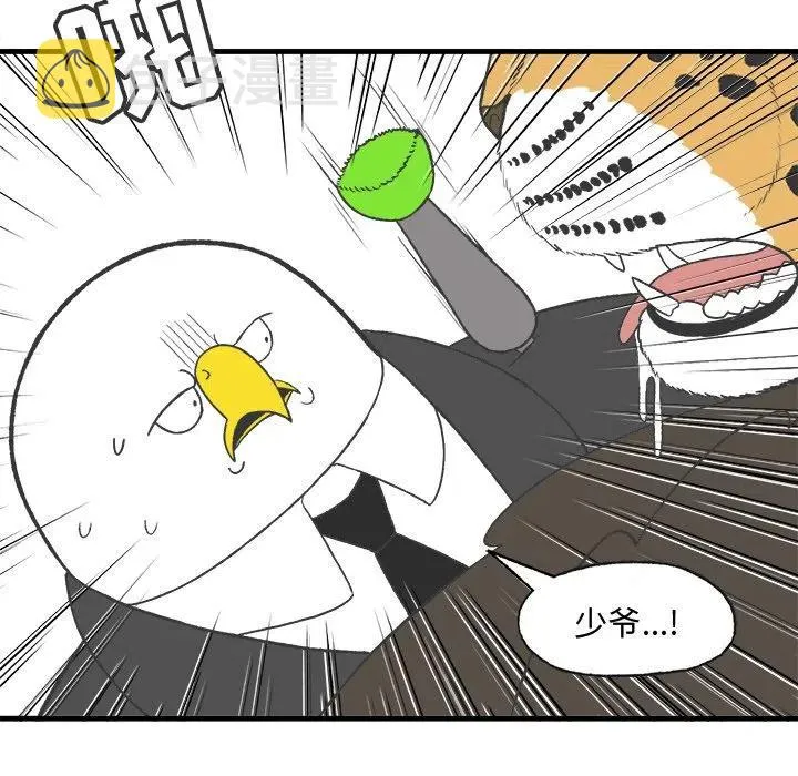 17 第44页