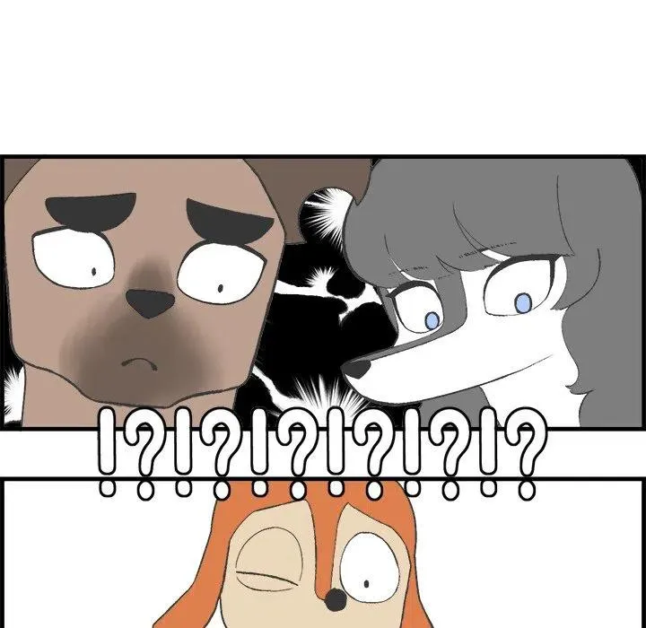 17 第45页