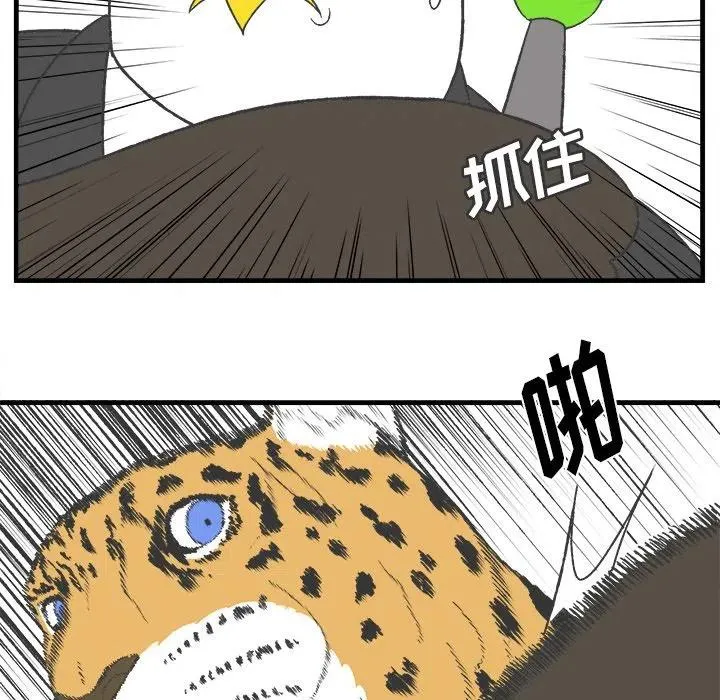 17 第47页