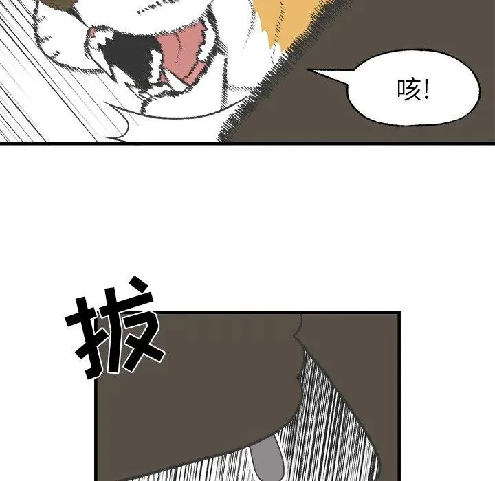 17 第48页
