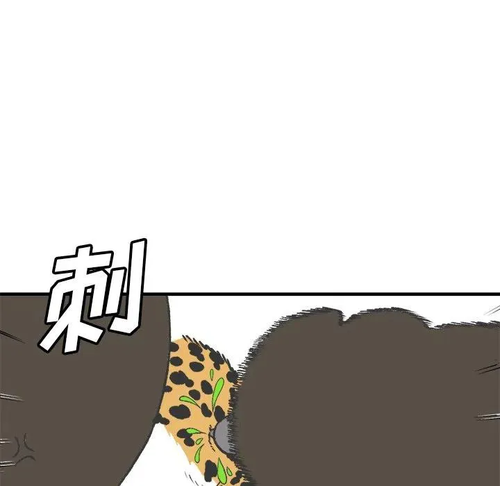 17 第50页