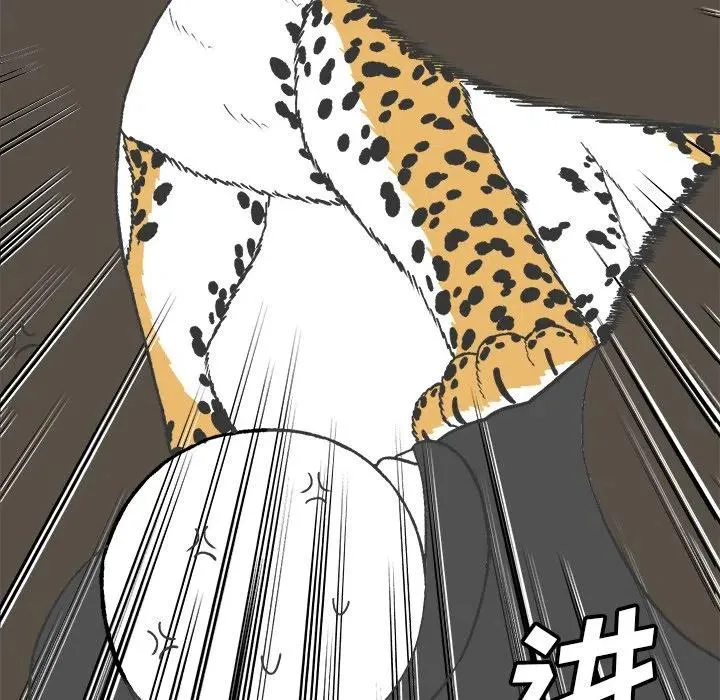 17 第51页