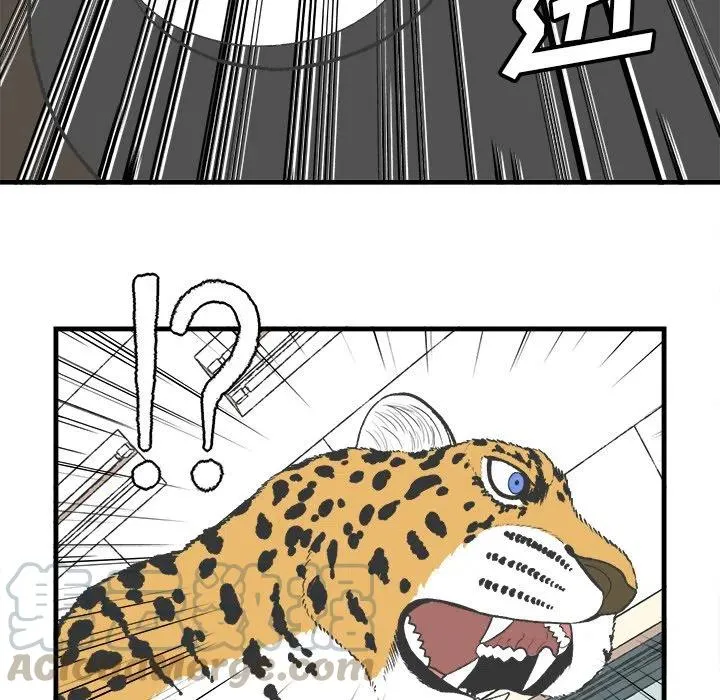 17 第52页