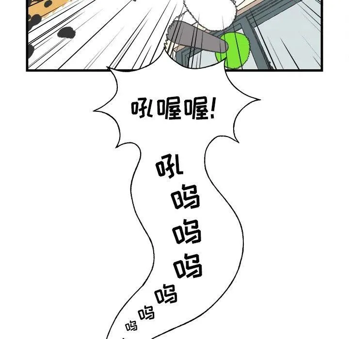 17 第53页