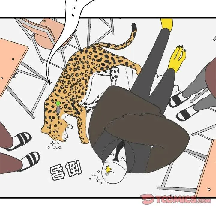 17 第54页