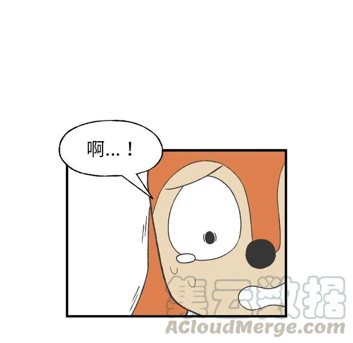 17 第55页